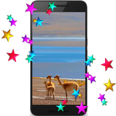 Lama Video Wallpaper icon