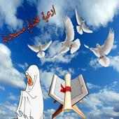 أدعية مختارة فيديو بدون نت