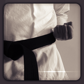 Karate HD Wallpapers icon