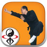 Shaolin Kung Fu