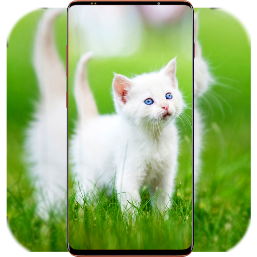 Cat Wallpaper HD icon