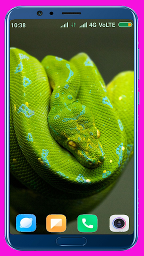 Snake Wallpaper Best 4K screenshot 3
