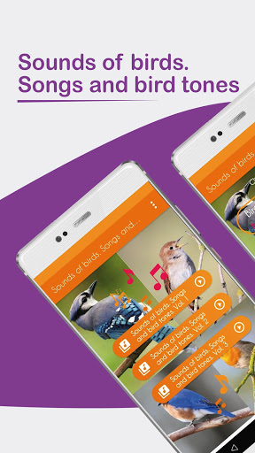 Sounds of birds. Songs and bird tones. screenshot 1