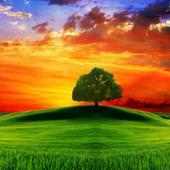 Sunset Wallpapers on 9Apps