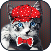 Cat Dress Up Photo Montage icon