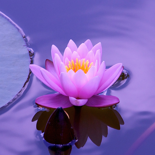 Красивые Летние HD Обои иконка