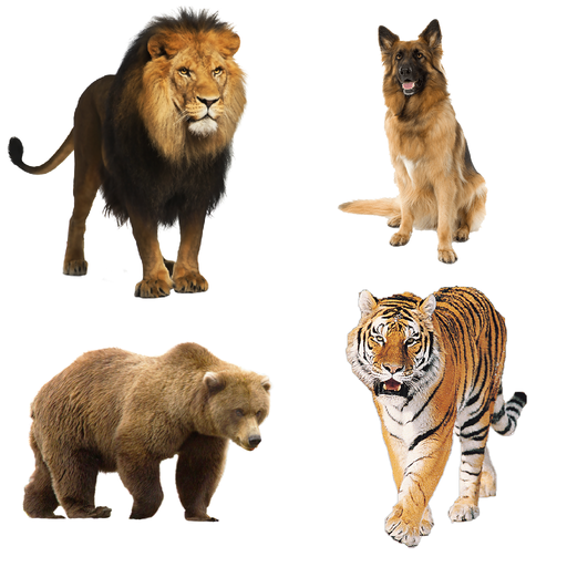 Animal Sounds Pictures icon