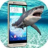 Hungry Shark on Screen angry furious scary joke