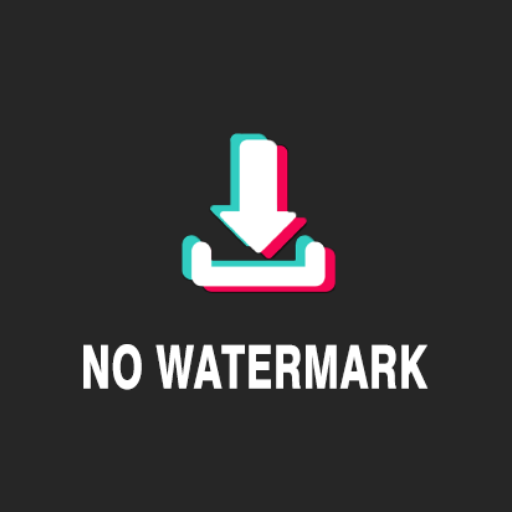 Tik Tok Downloader icon