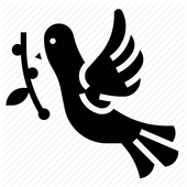 Dove dive -Puzzle Bird Game icon