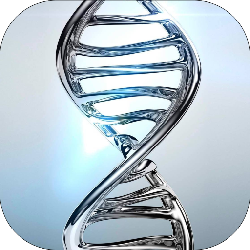 Life Timer App - How To Live 10 Years Longer icon