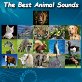 Animal Sounds icon