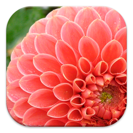 Photography Tutorials icon