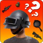 PUBG Quiz - Guess The Picture Weapons