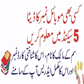 Sim owner information icon