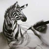 3D Charcoal Drawing