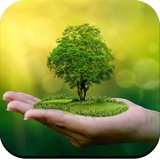 Bonsai Tree Wallpaper HD icon