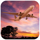 Flying Airliner Puzzle icon