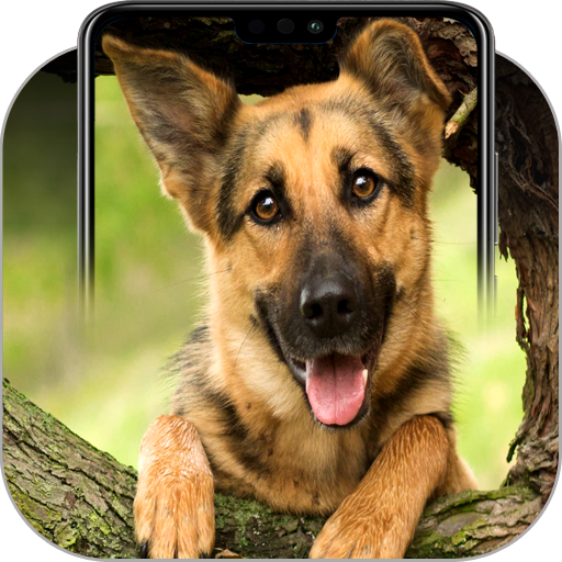 German Shepherd Wallpapers icon
