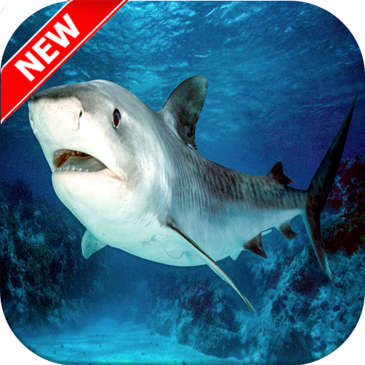Shark Wallpaper HD icon
