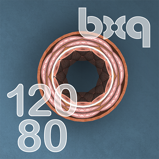 bodyxq my blood pressure icon