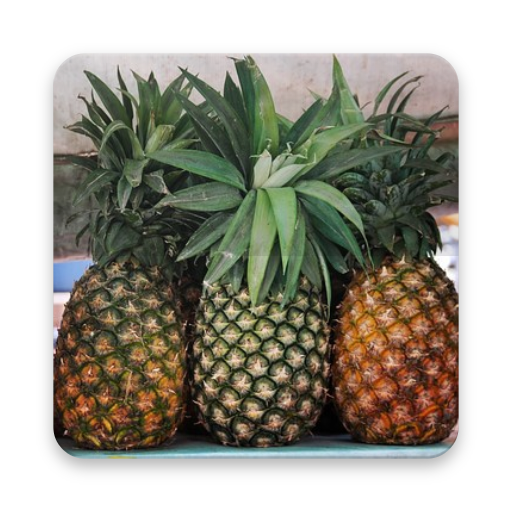 Pine Apple Wallpaper HD icon