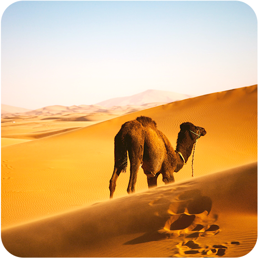 Desert Wallpaper icon