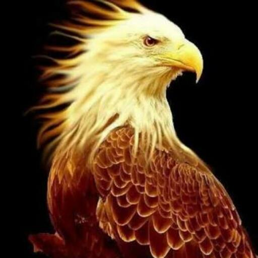 Eagle Browser (Fast &amp; Secured Browser) icon