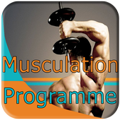 🆕 musculation icon
