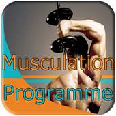 🆕 musculation