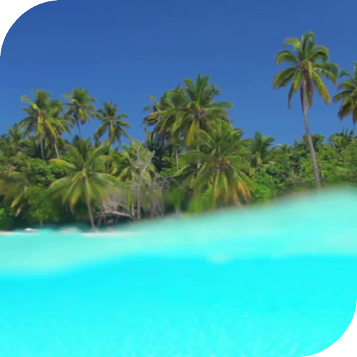 Beach Live Wallpaper icon