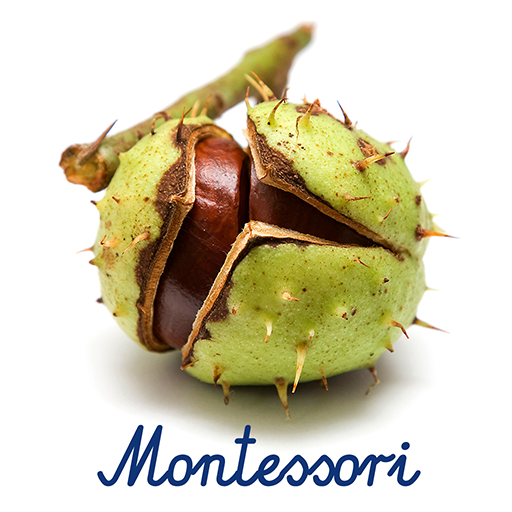 123 Kids Fun Montessori Craft icon