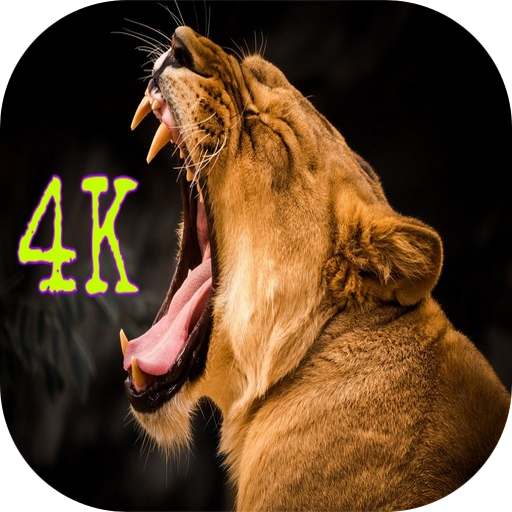 Wild Animal Wallpapers HD icon