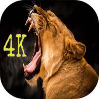 Wild Animal Wallpapers HD on 9Apps