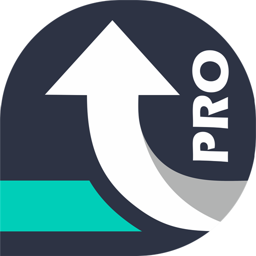 ikon Navegador Profesional para Camion