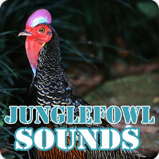 Junglefowl Sounds Ringtone Collection icon