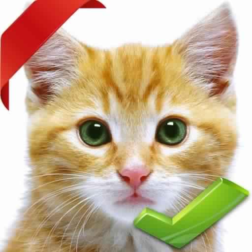 ❤ Nibbi's Hop - A fun, joyful and addictive game😊 icon