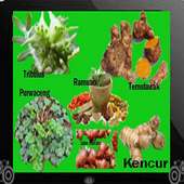 traditional medicine ejakulasi on 9Apps