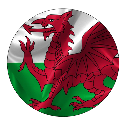 Wales Institute App icon
