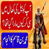 Muhammad Bin Qasim Hindi &amp; Urdu Story icon