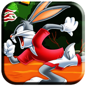 Looney Dash icon