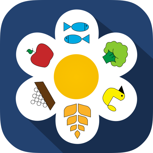 Six Petals Diet icon