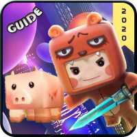 Guide  Mini World Block Art 2020