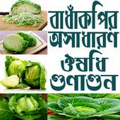 বাঁধাকপির ঔষধি গুণাগুন on 9Apps