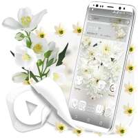 White Flower Launcher Theme on 9Apps