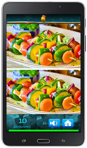 Find Image Difference screenshot 11