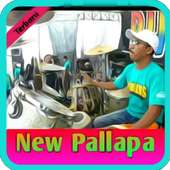 Dangdut New Pallapa Terbaru on 9Apps