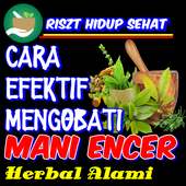 Cara Efektif Mengbati Mani Encer Alami Herbal