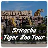 Sriracha Tiger Zoo Tour