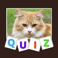 Quiz Animal